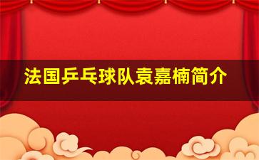 法国乒乓球队袁嘉楠简介