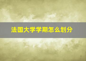 法国大学学期怎么划分