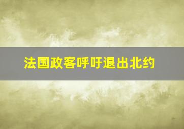 法国政客呼吁退出北约