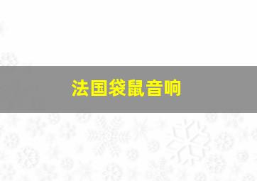 法国袋鼠音响