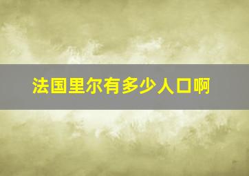 法国里尔有多少人口啊