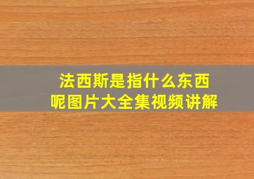 法西斯是指什么东西呢图片大全集视频讲解