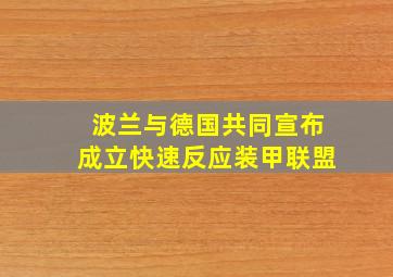 波兰与德国共同宣布成立快速反应装甲联盟