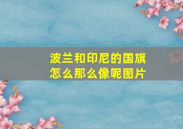 波兰和印尼的国旗怎么那么像呢图片