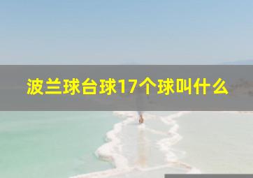 波兰球台球17个球叫什么