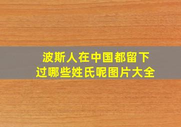 波斯人在中国都留下过哪些姓氏呢图片大全