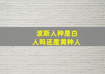 波斯人种是白人吗还是黄种人