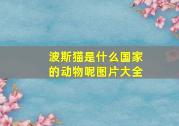 波斯猫是什么国家的动物呢图片大全