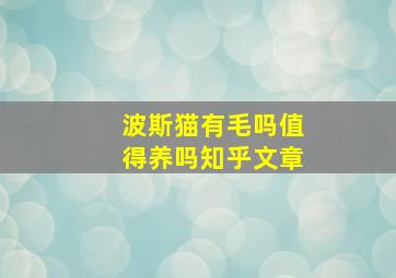 波斯猫有毛吗值得养吗知乎文章