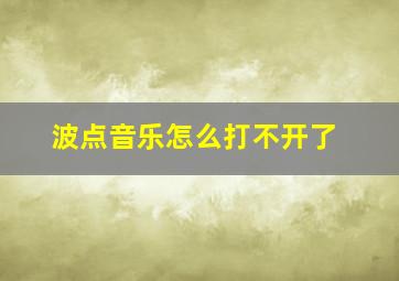 波点音乐怎么打不开了