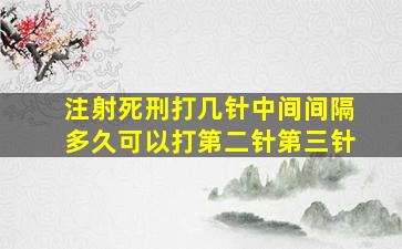 注射死刑打几针中间间隔多久可以打第二针第三针