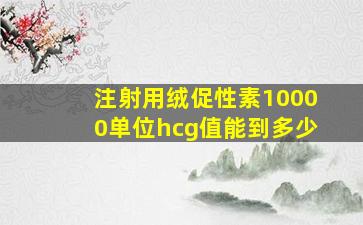 注射用绒促性素10000单位hcg值能到多少