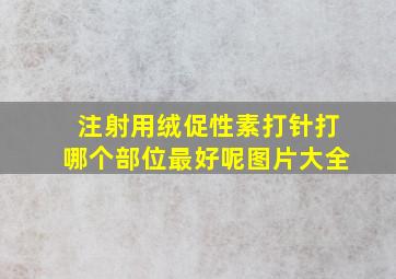 注射用绒促性素打针打哪个部位最好呢图片大全