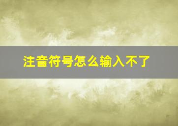 注音符号怎么输入不了