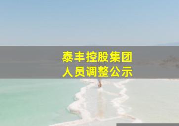 泰丰控股集团人员调整公示