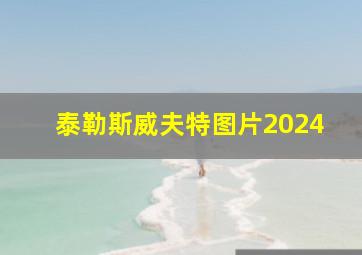 泰勒斯威夫特图片2024