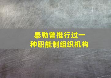 泰勒曾推行过一种职能制组织机构