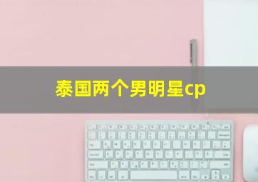 泰国两个男明星cp