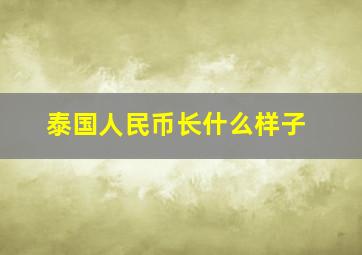 泰国人民币长什么样子