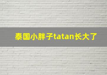 泰国小胖子tatan长大了