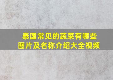 泰国常见的蔬菜有哪些图片及名称介绍大全视频