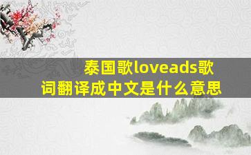 泰国歌loveads歌词翻译成中文是什么意思