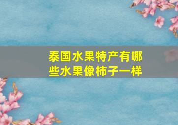 泰国水果特产有哪些水果像柿子一样