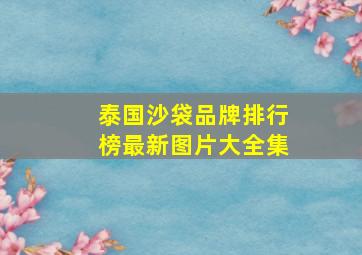 泰国沙袋品牌排行榜最新图片大全集