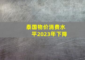 泰国物价消费水平2023年下降