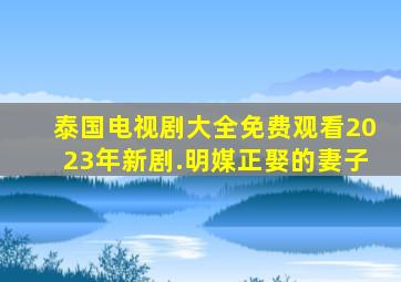 泰国电视剧大全免费观看2023年新剧.明媒正娶的妻子