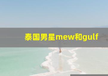 泰国男星mew和gulf