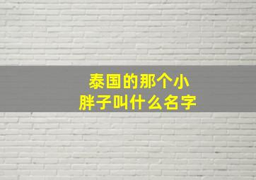 泰国的那个小胖子叫什么名字