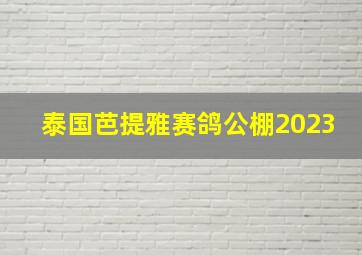 泰国芭提雅赛鸽公棚2023