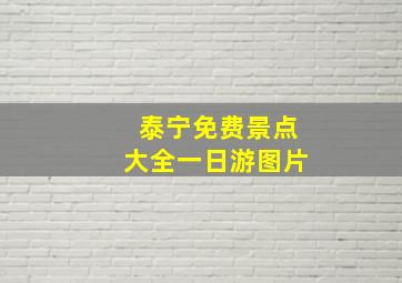 泰宁免费景点大全一日游图片