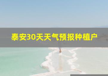 泰安30天天气预报种植户