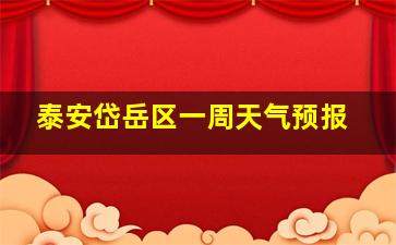 泰安岱岳区一周天气预报