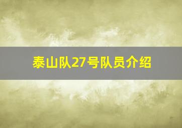 泰山队27号队员介绍