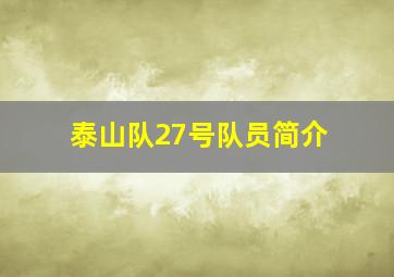 泰山队27号队员简介