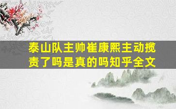 泰山队主帅崔康熙主动揽责了吗是真的吗知乎全文