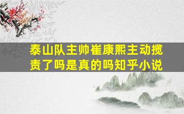 泰山队主帅崔康熙主动揽责了吗是真的吗知乎小说