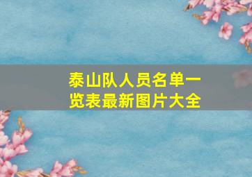 泰山队人员名单一览表最新图片大全