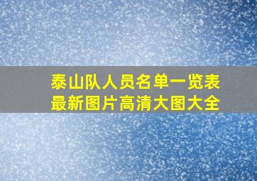 泰山队人员名单一览表最新图片高清大图大全