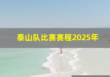 泰山队比赛赛程2025年