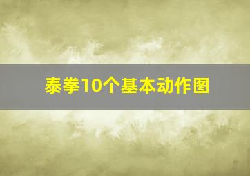 泰拳10个基本动作图