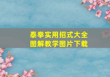 泰拳实用招式大全图解教学图片下载