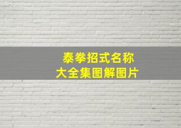 泰拳招式名称大全集图解图片