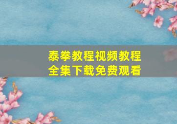 泰拳教程视频教程全集下载免费观看