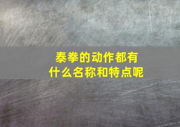 泰拳的动作都有什么名称和特点呢