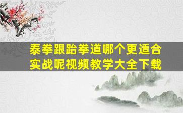 泰拳跟跆拳道哪个更适合实战呢视频教学大全下载