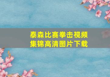 泰森比赛拳击视频集锦高清图片下载